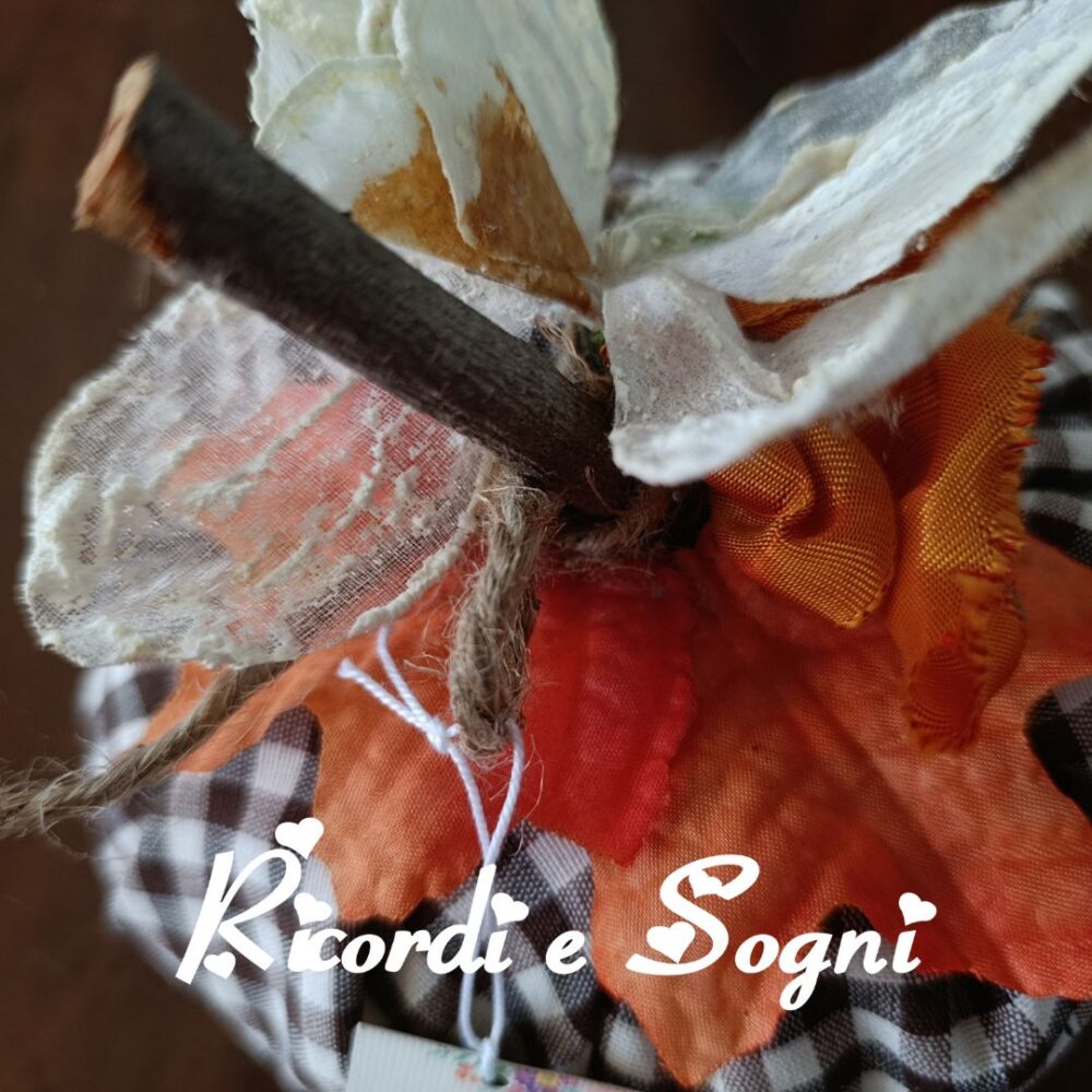 N. 10 Zucca - immagine 2